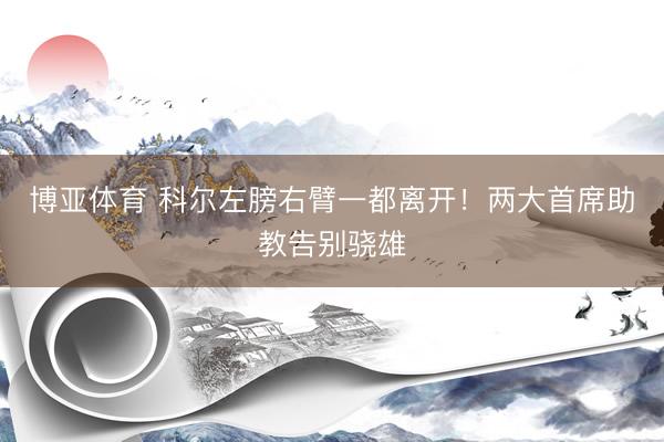 博亚体育 科尔左膀右臂一都离开！两大首席助教告别骁雄