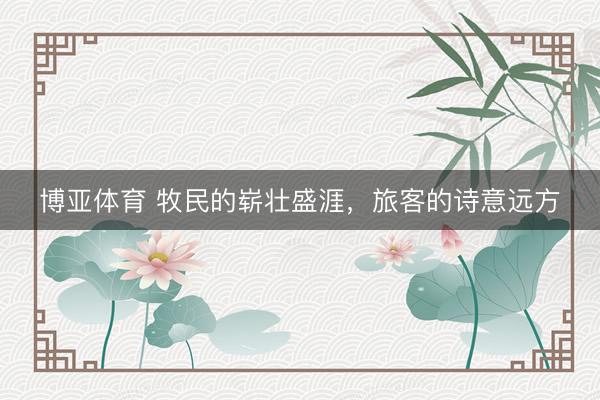 博亚体育 牧民的崭壮盛涯，旅客的诗意远方