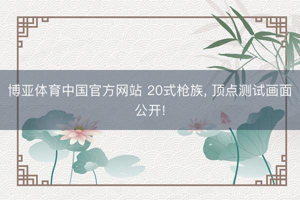 博亚体育中国官方网站 20式枪族, 顶点测试画面公开!