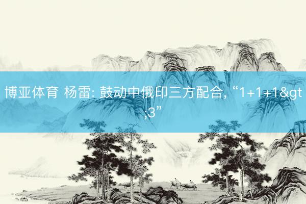 博亚体育 杨雷: 鼓动中俄印三方配合， “1+1+1>3”