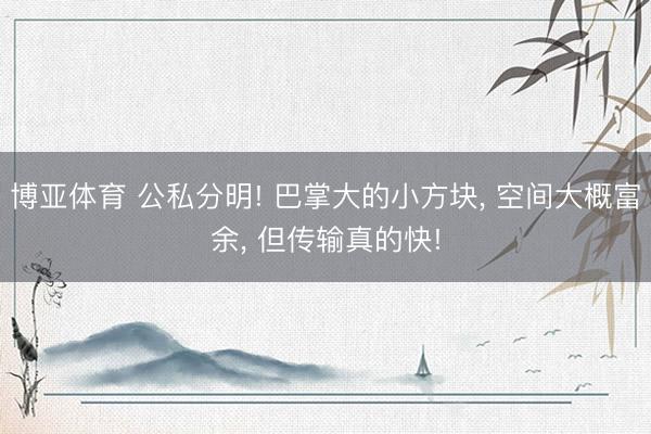 博亚体育 公私分明! 巴掌大的小方块， 空间大概富余， 但传输真的快!