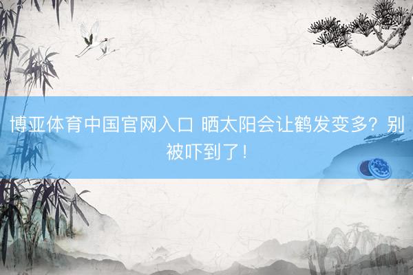 博亚体育中国官网入口 晒太阳会让鹤发变多？别被吓到了！