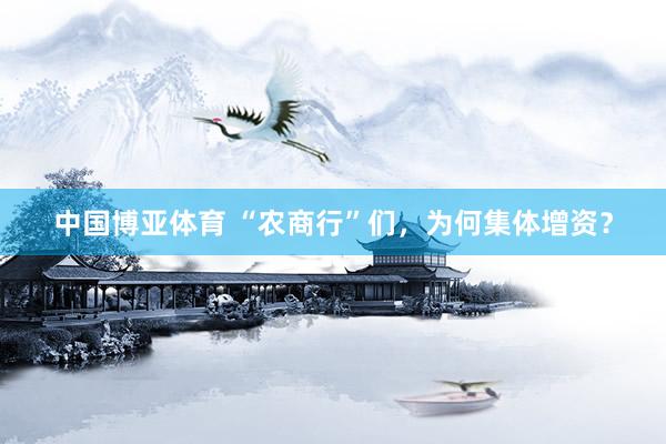 中国博亚体育 “农商行”们，为何集体增资？